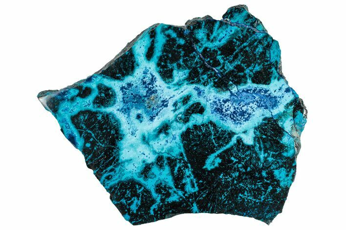 Amazing Chrysocolla and Shattuckite Slab - Mexico #301700